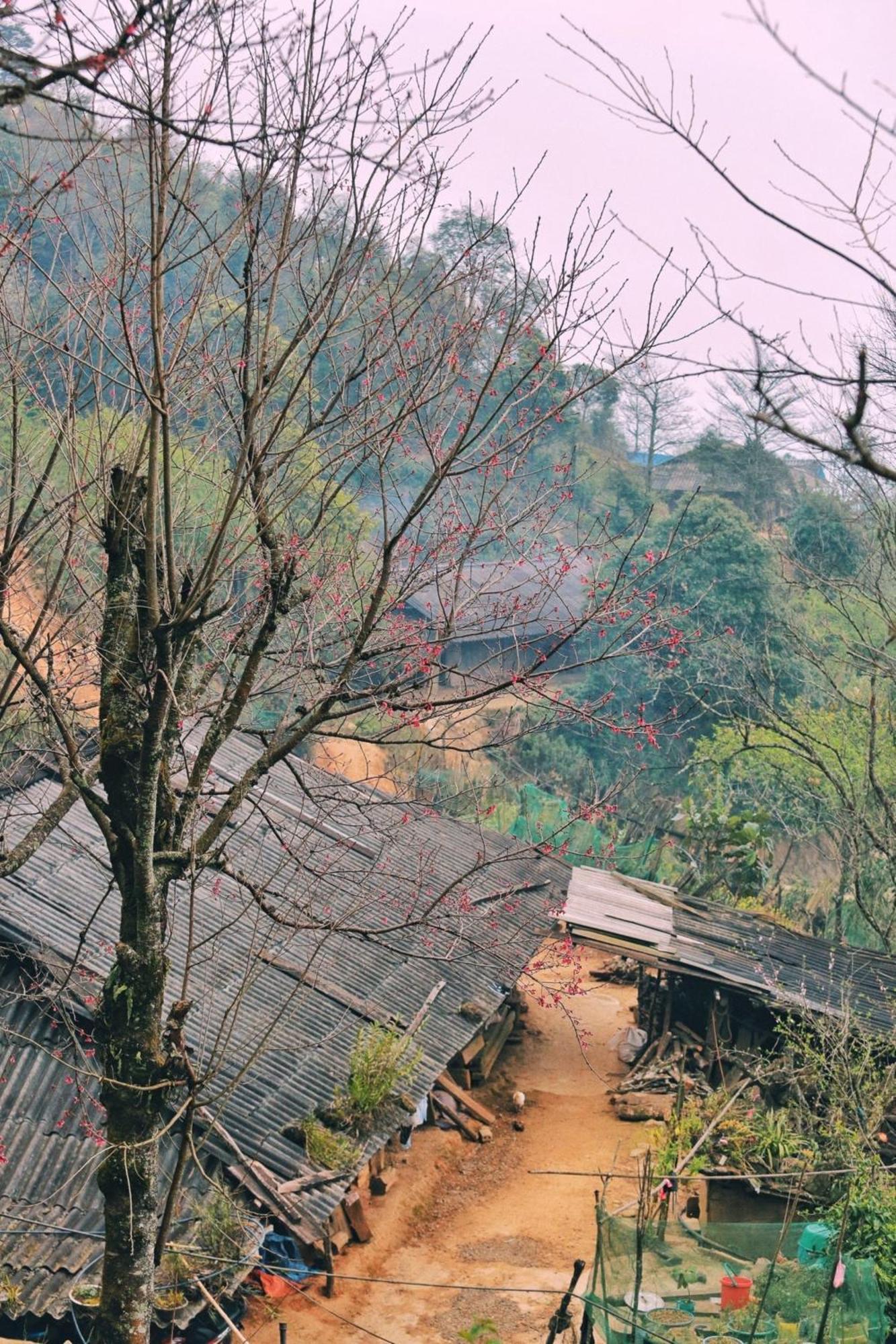 Nha Hang Homestay Pho Nui Bac Yen Kültér fotó